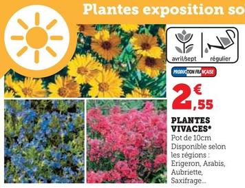 Plantes Vivaces offre à 2,55€ sur Hyper U