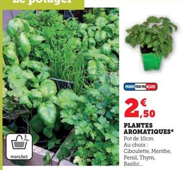 Plantes Aromatiques offre à 2,5€ sur Super U
