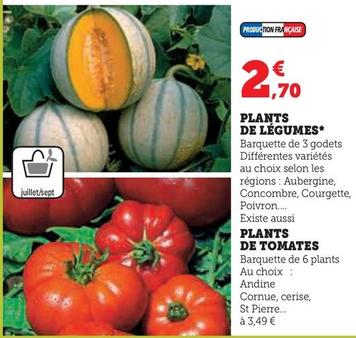 Plants De Légumes offre à 2,7€ sur Super U
