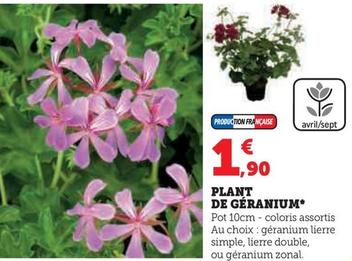 Plant De Geranium  offre à 1,9€ sur Super U