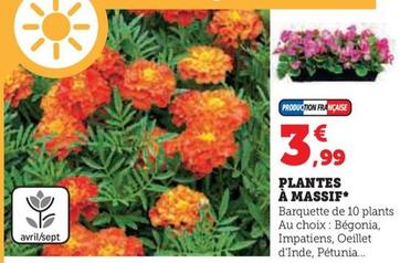 Plantes A Massif  offre à 3,99€ sur Super U
