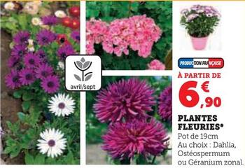 Plantes Fleuries offre à 6,9€ sur Super U