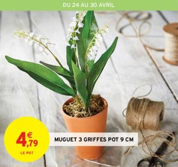 Muguet 3 Griffes Pot 9 Cm offre à 4,79€ sur Intermarché Contact