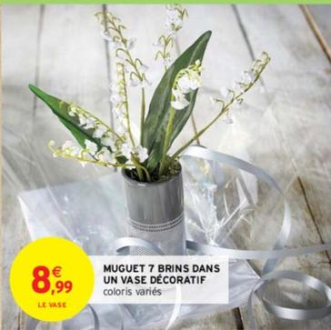 Muguet 7 Brins Dans Un Vase Décoratif offre à 8,99€ sur Intermarché Contact