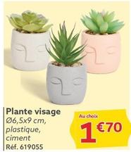 Plante Visage offre à 1,7€ sur Gifi