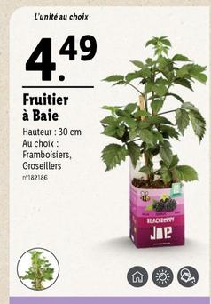 Fruitier À Baie offre à 4,49€ sur Lidl