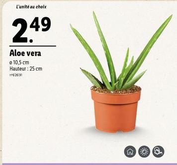 Aloe Vera offre à 2,49€ sur Lidl