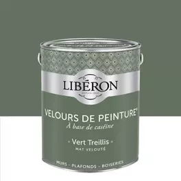Liberon - Peinture Couleur Velours De Peinture offre à 49,9€ sur Castorama