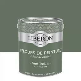 liberon - peinture couleur velours de peinture