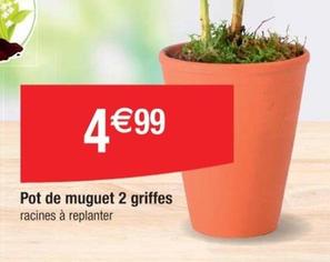 Pot De Muguet 2 Griffes  offre à 4,99€ sur Cora