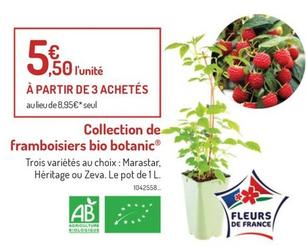 Framboises offre à 5,5€ sur Botanic