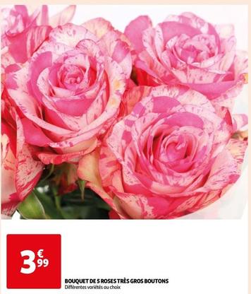 Bouquet De 5 Roses Très Gros Boutons offre à 3,99€ sur Auchan Supermarché