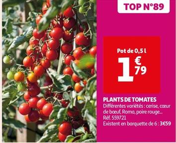 Plants De Tomates  offre à 1,79€ sur Auchan Hypermarché