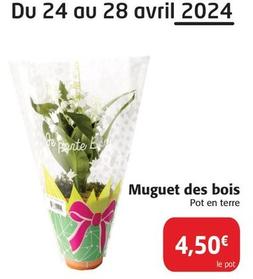 Muguet Des Bois offre à 4,5€ sur Colruyt