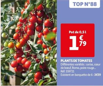 Plants De Tomates offre à 1,79€ sur Auchan Hypermarché