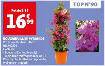 Bougainvillier Pyramide offre à 16,99€ sur Auchan Hypermarché