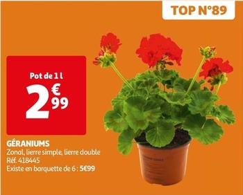 Géraniums offre à 2,99€ sur Auchan Hypermarché