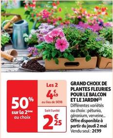 Grand Choix De Plantes Fleuries Pour Le Balcon Et Le Jardin offre à 2,25€ sur Auchan Supermarché