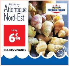 Bulots Vivants offre à 6,99€ sur Auchan Hypermarché