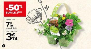 Pack De 6 Plantes Fleuries offre à 7,49€ sur Carrefour
