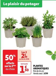 Plantes Aromatiques offre à 1,99€ sur Auchan Hypermarché