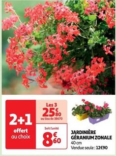 Jardinière Géranium Zonale offre à 12,9€ sur Auchan Hypermarché