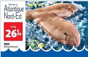Sole offre à 26,99€ sur Auchan Supermarché