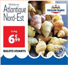 Bulots Vivants offre à 6,99€ sur Auchan Supermarché