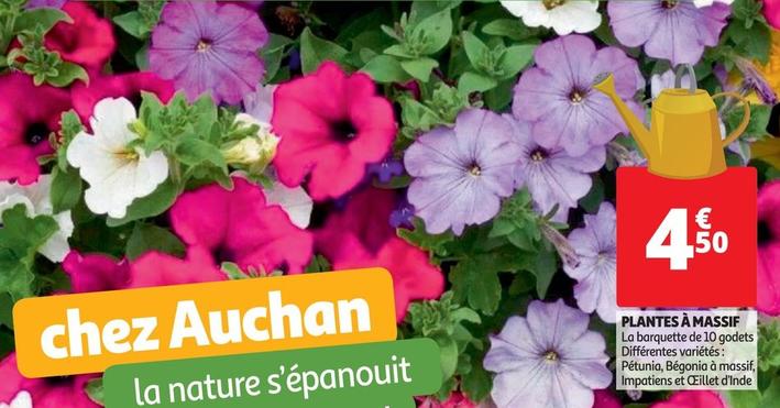 Plantes À Massif offre à 4,5€ sur Auchan Hypermarché