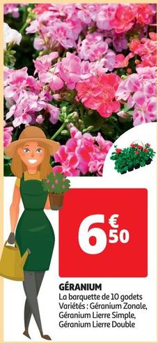 Géranium offre à 6,5€ sur Auchan Hypermarché