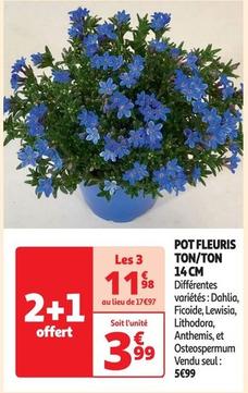 pot fleuris ton/ton