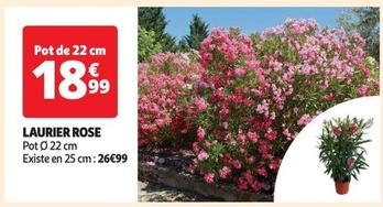 Laurier Rose offre à 18,99€ sur Auchan Hypermarché