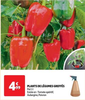 Plants De Légumes Greffés offre à 4,99€ sur Auchan Hypermarché