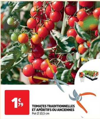 tomates traditionnelles et apéritifs