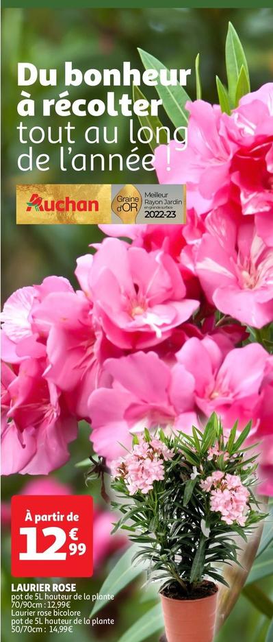 Laurier Rose offre à 12,99€ sur Auchan Hypermarché