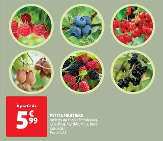 Petits Fruitiers offre à 5,99€ sur Auchan Hypermarché