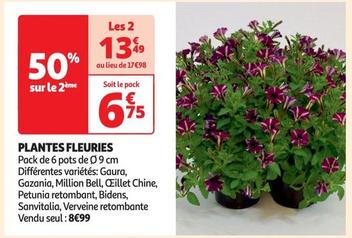 Plantes Fleuries offre à 8,99€ sur Auchan Hypermarché