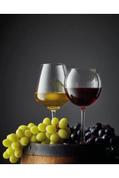 Tour de France des vins rouges & blancs
                                                                    Atelier de dégustation offre à 49€ sur La Vignery
