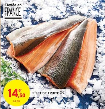 Filet De Truite offre à 14,5€ sur Intermarché Contact