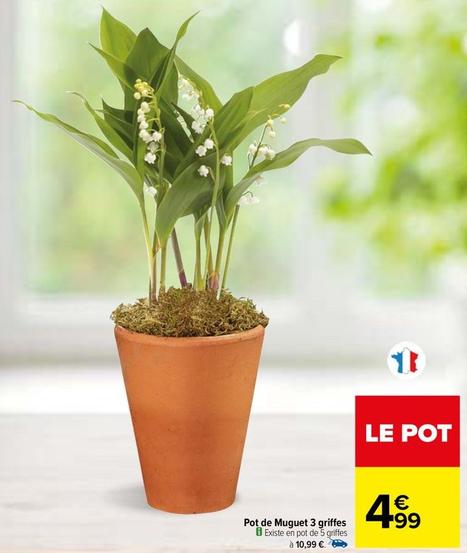 Pot De Muguet 3 Griffes  offre à 4,99€ sur Carrefour