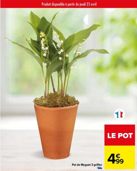 Pot De Muguet 3 Griffes  offre à 4,99€ sur Carrefour