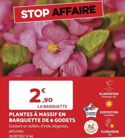 Plantes à fleurs offre à 2,9€ sur Bricomarché