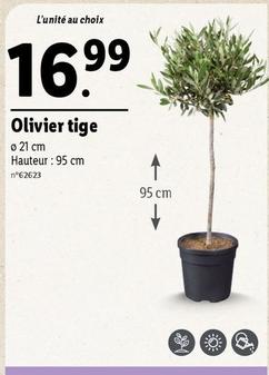 Olivier Tige  offre à 16,99€ sur Lidl