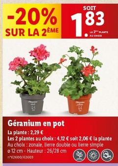 Géranium En Pot offre à 2,06€ sur Lidl