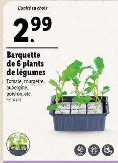 Barquette De 6 Plants De Legumes  offre à 2,99€ sur Lidl