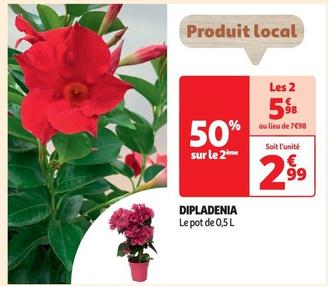 Dipladenia offre à 2,99€ sur Auchan Hypermarché