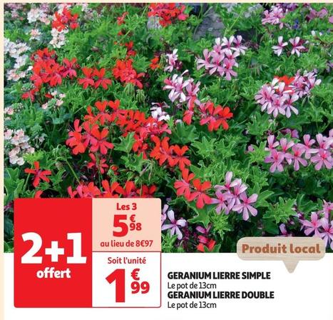 Geranium Lierre Simple , Geranium Lierre Double offre à 1,99€ sur Auchan Hypermarché