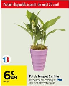 Pot De Muguet 3 Griffes  offre à 6,49€ sur Carrefour Drive