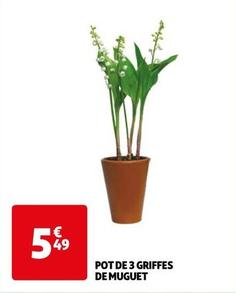 pot de 3 griffes de muguet