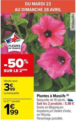 Plantes À Massifs offre à 3,99€ sur Carrefour Market